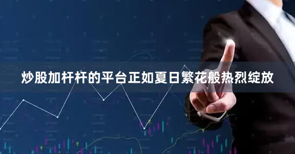 炒股加杆杆的平台正如夏日繁花般热烈绽放