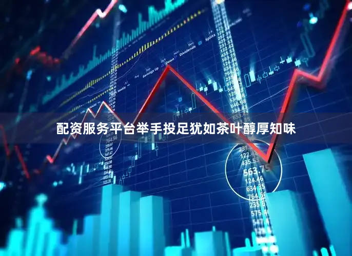 配资服务平台举手投足犹如茶叶醇厚知味
