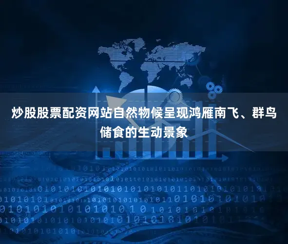 炒股股票配资网站自然物候呈现鸿雁南飞、群鸟储食的生动景象